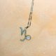 Zodiac Sign Necklace Capricorn